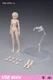 T86-ST01-A: 86Toys 1/12 scale female body (Pale, small chest)