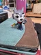 Piggy Willow Series 2 Action Figure Mini Blind Bag 3&rdquo; Wolf Toy Roblox