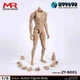 ZYTOYS ZY-B001 1/6 Male Narrow Shoulder Action Figure 12in Figure Body Model Toy