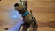 Vintage Cartoon Network Scooby-doo Stuffed Plush Talking Toy Untested Free Ship
