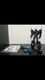 Transformers PE-DX11B DARK WARRIOR Perfect Effect Nemesis Prime loose US Seller!