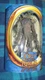 The Lord of The Rings The Return of The King Treebeard Figure ToyBiz 2003