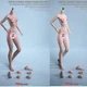 TBLeague 1/6 Female Asian Anime Small Bust Girl 12" Action Figure Body No Head