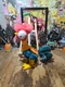 Disney Moana Hei Hei Clucking & Dancing Moving Rooster Chicken Plush Toy 13"