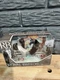 Lanard Royal Breeds Family Champion Silver Bay And Blue Roan Friestan New Read