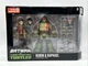 DC Collectibles TMNT Robin & Raphael 2pk Set SDCC