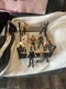 9 Jakks Pacific Wrestlers & Spring Loaded Ring    Kk175