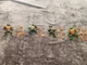 Playmates TMNT Lot Of 4 Storage Shell Figures-Donatello, Leonardo, Michaelangelo