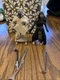 Hasbro Star Wars Vintage Collection Lot VC199 Tusken Raider & VC279 Warrior NM