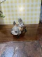 Disney Star Wars Loth Cat Bounty Collection Series 7 #39 Figure Disney #31881 