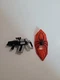 Amazing Spider-Man Toy Biz Spider-Woman Black Widow Assault Gear Accessories C3