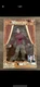 NSYNC JC Chasez Collectible Marionette Doll Living Toyz 2000 New In Box