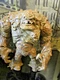 Clayface (DC Rebirth) Mega Figure DC Multiverse MCFARLANE TOYS
