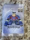 Disney Kingdom Hearts Pete ,Chip & Dale Action Figure Set Diamond Select