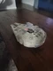 Star Wars Micro Galaxy Squadron Millennium Falcon Launch Edition Series 1