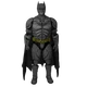 1/6 Scale Action Figure Kit: Dark Knight (08 TDK)