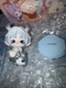 Mimia Pinkun Fengshen Tuan Tuan All Star Series Blind Box Figure New Open Box