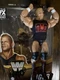Mattel WWE Legends 15 Lex Luger Action Figure Target Exclusive
