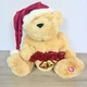 HTF Dan Dee Plush Animated Musical Light-Up Jingle Bells Christmas Bear *VIDEO*
