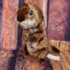 Disney Pixar Finding Dory Sea Otter Blue Eyes Plush Stuffed Toy Brown