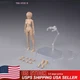 86TOYS 1/12 T86-ST03-B Suntan Skin Large Bust 6" Female Action Figure Head Body