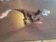 Dinosaurs Utahraptor 14582 Schleich 11627 Toys Animal Figure