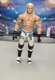 Mattel WWE Dolph Ziggler Elite Custom Wrestling Action Figure