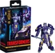 Hasbro Collectibles - Transformers - Age of the Primes - Deluxe Class The Thirte