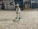 Disney Infinity Crystal Lone Ranger Toys R Us Exclusive Character Figure