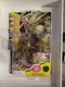 WILD CATS DAEMONITE 6&rdquo; Toy Figure PLAYMATES 1994-MIP