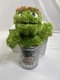 Oscar The Grouch Gund Sesame Street 10" Plush Trash Can Scram Stuffed Animal