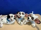 (3) DISNEY STORE  8" MINI BEANBAG PLUSH 101 Dalmatian Puppies X (3) LUCKY plus 2