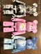 Medicom Toy Series 43 Bearbrick Case of 24 Pieces Action Figure
