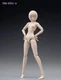 86TOYS T86-ST01A 1/12 Pale Skin Flexible Body 6" Female Joint Action Figure Toys