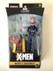 Hasbro X-Men Age of Apocalypse Marvel Legends BAF Colossus Shadowcat 6&rdquo; Figure