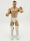WWE Finn Balor Mattel Basic Series 98 Wrestling Action Figure with Stand