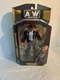 Jazwares AEW Unrivaled Chris Jericho Painmaker Series 8 #63 With Figure Defender