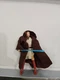Hasbro Obi Wan Kenobi Star Wars The Saga Collection Action Figure