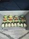 Nickelodeon TMNT Plush Set of 4 - Leonardo Michelangelo Donatello Raphael
