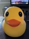 YELLOW Laffy Quacks Jumbo Squishy Duck by Sunny Days, Viral XL Duckie Squeezie