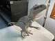 Jurassic World Destroy N Devour INDOMINUS REX Dinosaur Sound Light Arms Grab 24"