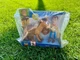 Toy Story 4 Woody and Bullseye Adventure Pack Posable Action Figure Disney Pixar