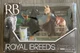 New Lanard Royal Breeds Champion Silver Bay and Blue Roan Race 10 Piece Set