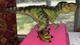 Tyrannosaurus Rex Green Black # wm84495 Adventure Force Dinosaur Toy 10" Size