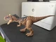 Jurassic World Dominion Roar Strikers Rajasaurus Dinosaur Action Figure