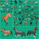 Schleich Horse Pony Exclusive Special Models to Choose From #S49