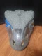 Jurassic World CHOMP &lsquo;N ROAR MASK Velociraptor Blue Fallen Kingdom Dinosaur 