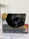 Spin Master How to Train Your Dragon Tame and Train Interactive Toothless Toy