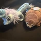 Disney Raya 18&rdquo; Last Dragon Sisu 6&rdquo; Tuk Tuk Armadillo Small Plush LOT