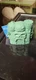 Mattel Masters of the Universe Eternia  Minis  he man figure new 